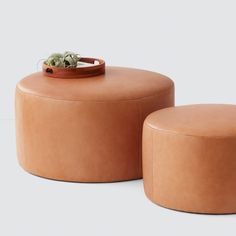 two round stools with a plant on the top one is made out of leather