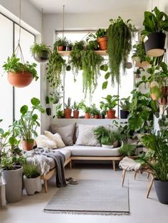 a living room filled with lots of plants and potted plants on the windowsill