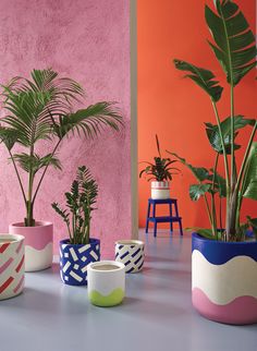 there are many potted plants on the table in front of each other and one is pink