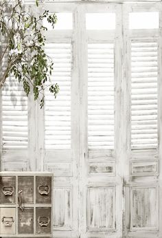 an empty room with white shutters and a tree