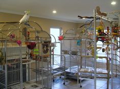 a room filled with lots of cages and birds on top of each other in it