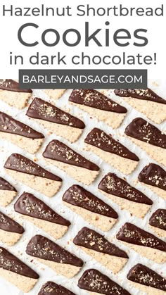 chocolate dipped shortbread cookies in dark chocolate on a sheet of parchment paper with text overlay that reads, hazelnut shortbread cookies in dark chocolate