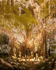 two people standing in front of a large tree with lights all around it at night