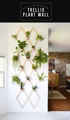 there is a wall planter with plants hanging from it's sides and the words trellis plant wall above it