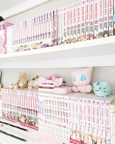 there are many books on the shelves with stuffed animals and other items in front of them