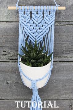 a macrame hanging planter with a succulent in it