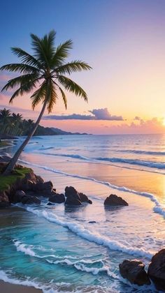 a palm tree on the shore of a tropical beach at sunset with waves coming in