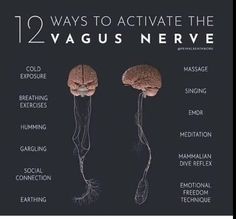 Rest And Digest, Nervus Vagus, Somatic Healing, The Vagus Nerve, Flight Mode, Vagus Nerve, Therapy Tools, Mental And Emotional Health, Holistic Healing