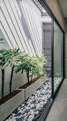 an indoor garden with plants and rocks on the ground in front of a large window