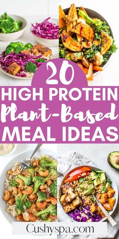 20 high protein plant based meal ideas