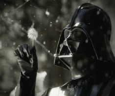 darth vader holding a dandelion in his hand