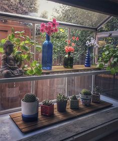 several potted plants sit on a window sill in front of a wooden table