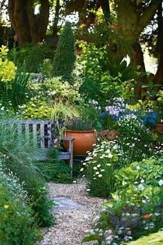 a garden filled with lots of different types of flowers and plants next to a bench