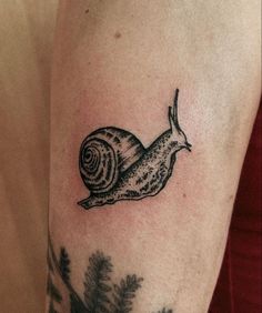 a small snail tattoo on the arm