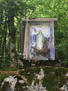 a stained glass window in the middle of a forest with moss growing on it's sides