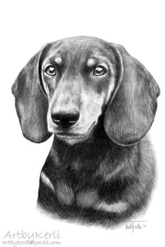 a black and white drawing of a dachshund dog with its eyes closed