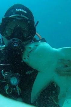 a man in scuba gear with a large shark