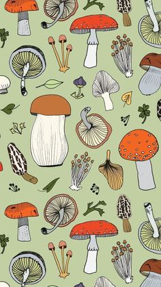 a green background with mushrooms and leaves