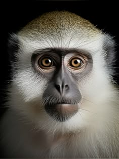 a close up of a monkey's face with an odd look on its face