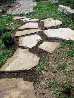 a stone path in the middle of a garden