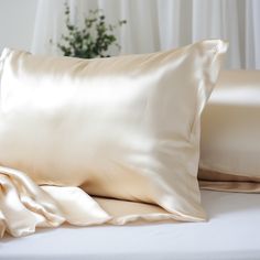 a bed with two pillows on top of it and a plant in the corner next to it