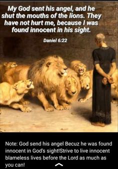 a woman standing in front of lions with a bible verse