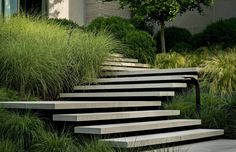 the steps are made of concrete and have grass growing on them, along with tall grasses