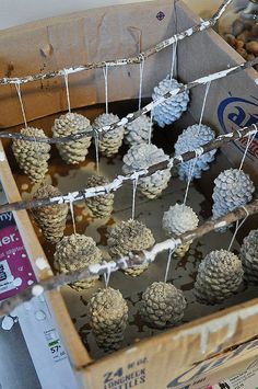 several pine cones are hanging from a string in a box with other items around it