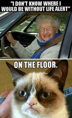 an older woman driving a car with the caption, i don't know where i would be without life alert on the floor