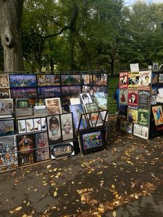 there are many pictures on display in the park with trees behind them and leaves all over the ground