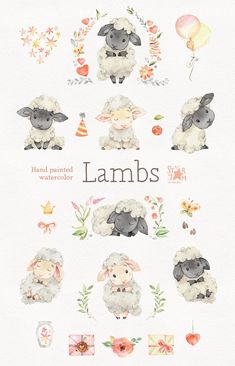 the lambs are all different sizes and colors