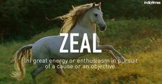 a white horse galloping through a field with the words zeal in front of it