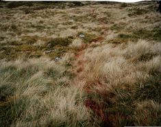 an area with grass and rocks on the ground that has red marks in it,