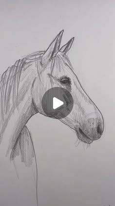 a pencil drawing of a horse's head with the words, how to draw a horse