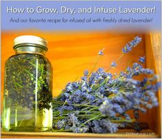 a jar filled with lavender flowers sitting on top of a table