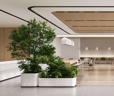 an empty room with tables and chairs, plants in planters on either side of the table