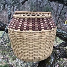 a wicker basket hanging from a tree branch