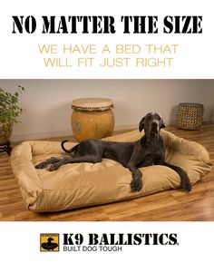 a large black dog laying on top of a brown bed next to a potted plant