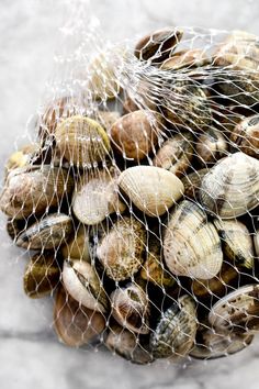 there is a net bag full of clams on the ground