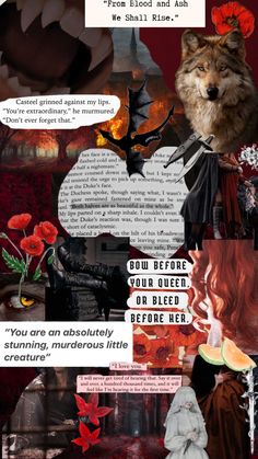 a collage of images with words and pictures on them, including an image of a wolf