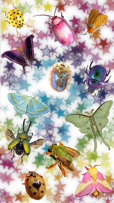 many different bugs and insects on a colorful background