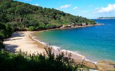 a sandy beach surrounded by green trees and blue water