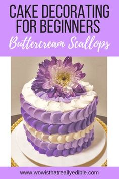 cake decorating for beginners buttercream scallops with text overlay