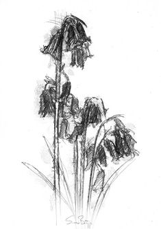 a black and white drawing of some flowers