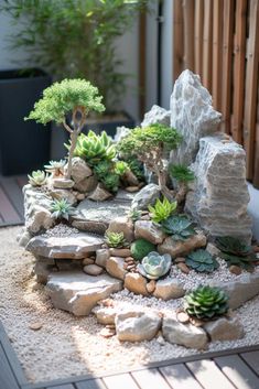 a small garden with rocks and succulents in the center, on top of a wooden deck