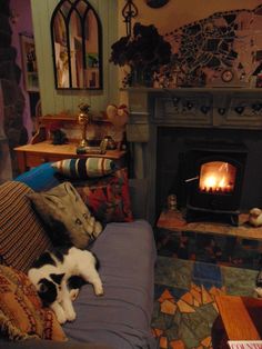 a living room with a cat laying on the couch and a fire place in the fireplace