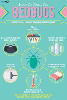 how to treat for bedbugs info