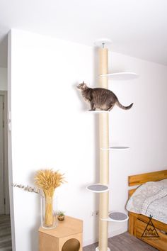 a cat sitting on top of a scratching post in a living room next to a bed