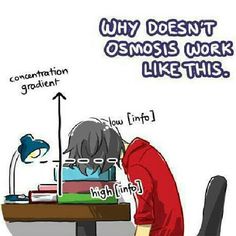 an image of a person sitting in front of a desk with books on it and the caption why doesn't osmos work like this