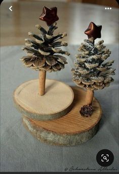 two small pine trees sitting on top of a wooden stand